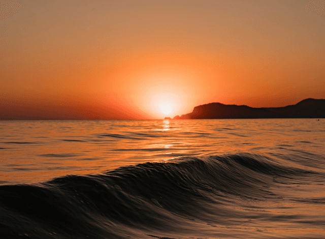 IOL X Portal Home IOL X Portal IOL X Portal Home IOL X Portal